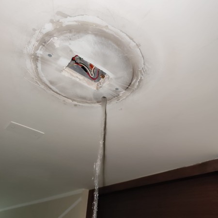 Imagen 5 de servicio