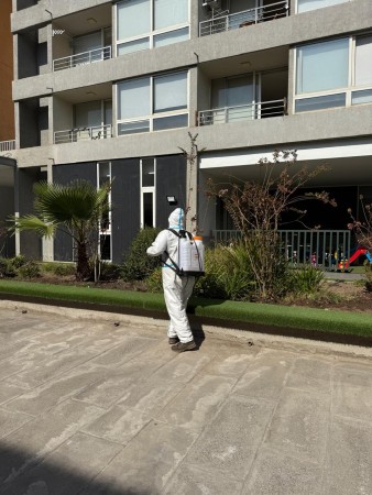 Imagen principal del servicio