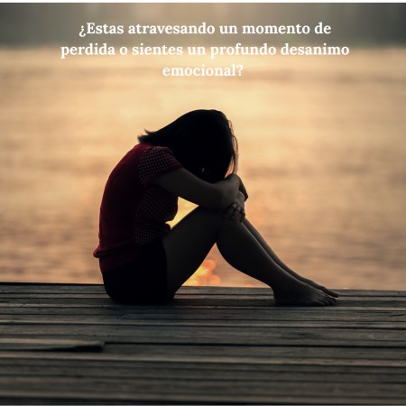 Imagen principal del servicio