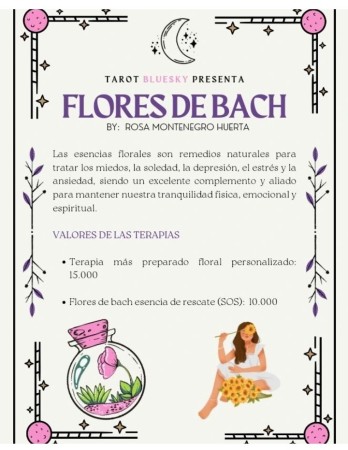 Imagen principal del servicio