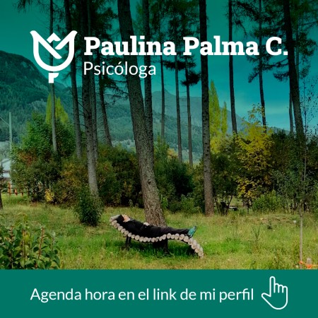 Imagen principal del servicio