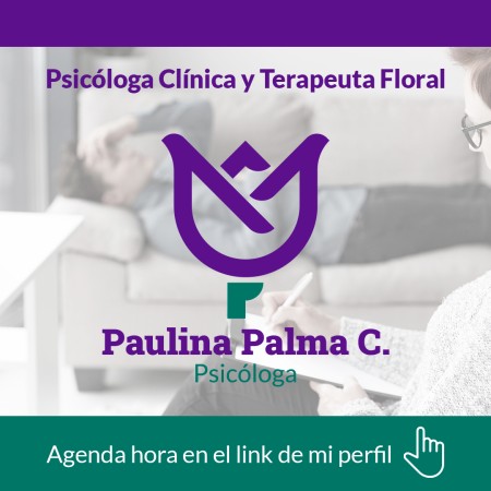 Imagen principal del servicio