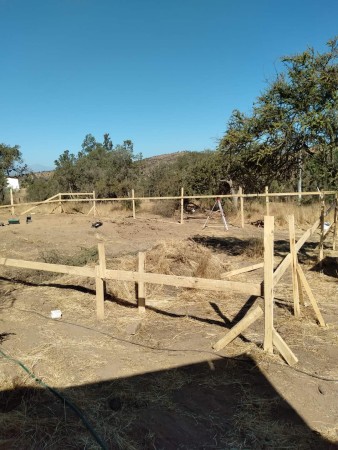 Imagen 28 de servicio
