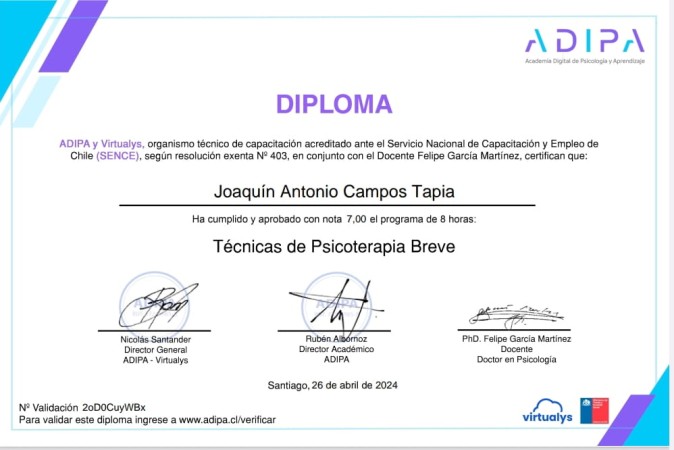 Imagen 10 de servicio