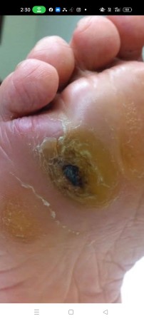 Imagen principal del servicio