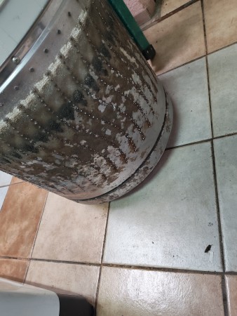 Imagen 18 de servicio