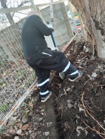 Imagen 36 de servicio