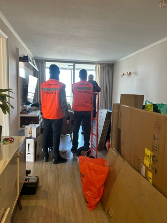 Imagen 12 de servicio