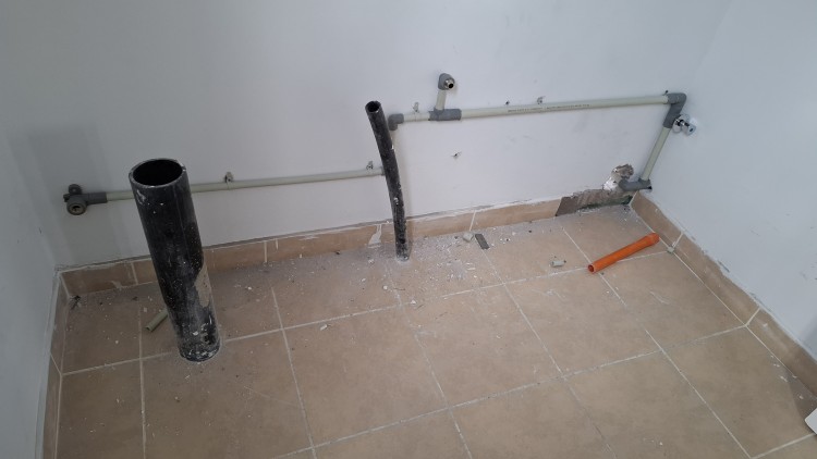Imagen 4 de servicio
