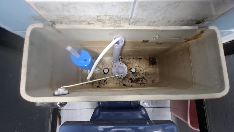 Imagen 8 de servicio